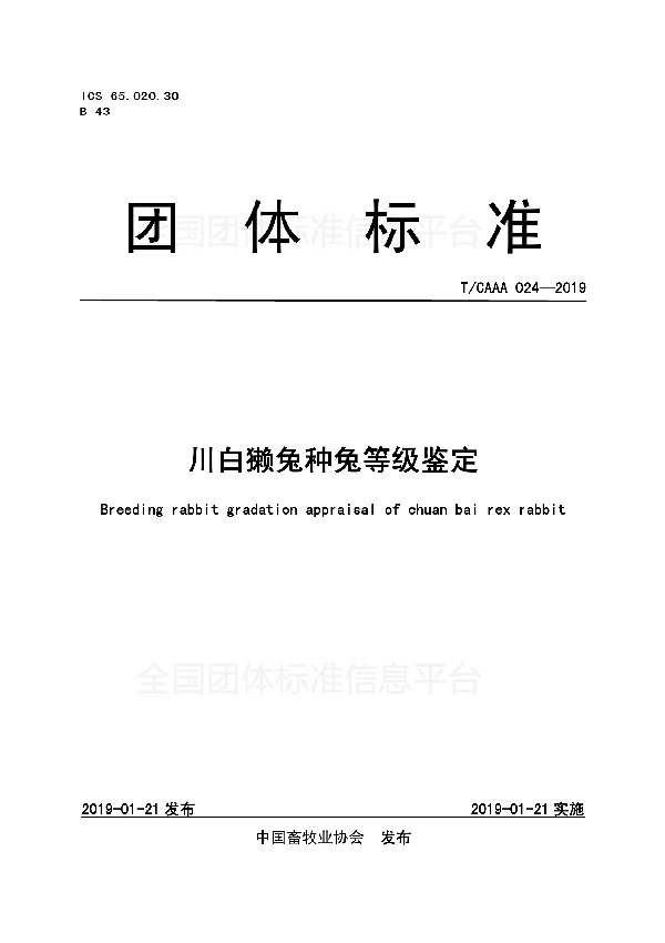 川白獭兔种兔等级鉴定 (T/CAAA 024-2019)