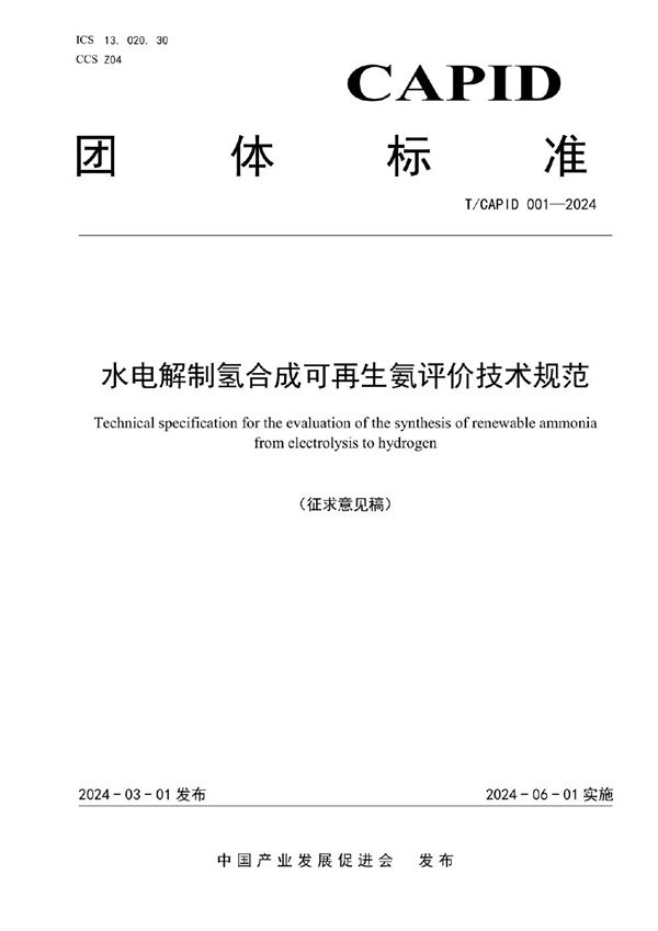 水电解制氢合成可再生氨评价技术规范 (T/CAPID 001-2024)