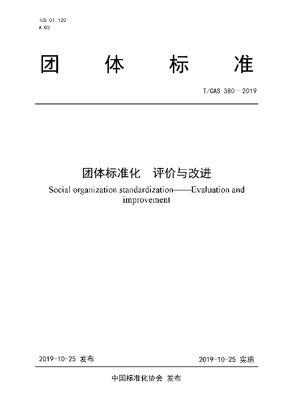 团体标准化  评价与改进 (T/CAS 380-2019)