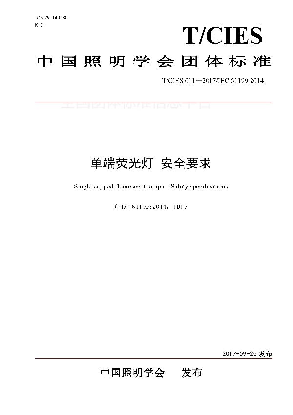 单端荧光灯 安全要求 (T/CIES 011-2019)