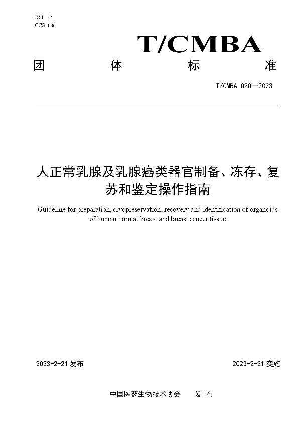 人正常乳腺及乳腺癌类器官制备、冻存、复苏和鉴定操作指南 (T/CMBA 020-2023)