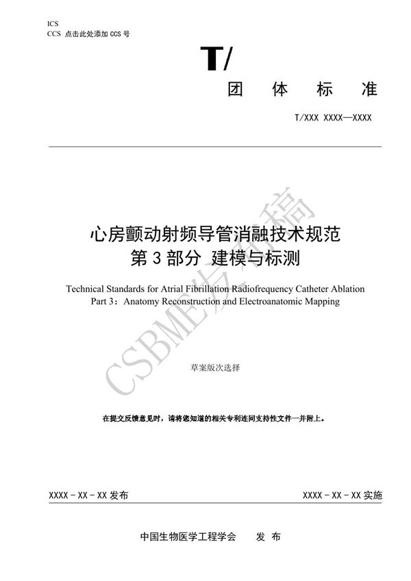 心房颤动射频导管消融技术规范 第3部分 建模与标测 (T/CSBME 080.3-2024)