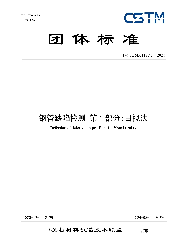 钢管缺陷检测 第1部分:目视法 (T/CSTM 01177.1-2023)