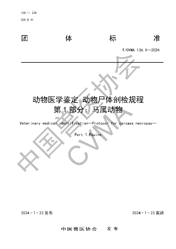 动物医学鉴定 动物尸体剖检规程 第 1 部分：马属动物 (T/CVMA 136.1-2024)