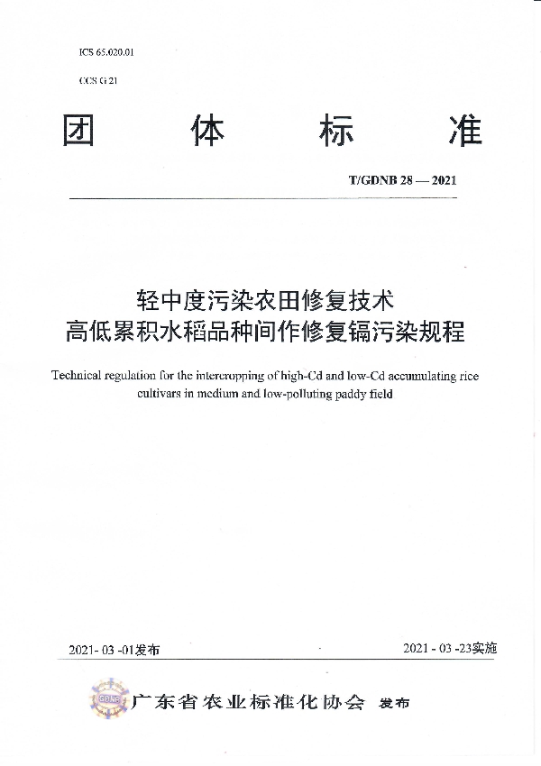 轻中度污染农田修复技术 高低累积水稻品种间作修复镉污染规程 (T/GDNB 28-2021)