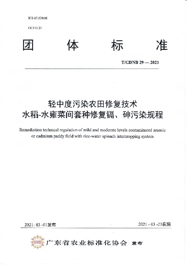 轻中度污染农田修复技术 水稻-水雍菜间套种修复镉、砷污染规程 (T/GDNB 29-2021)