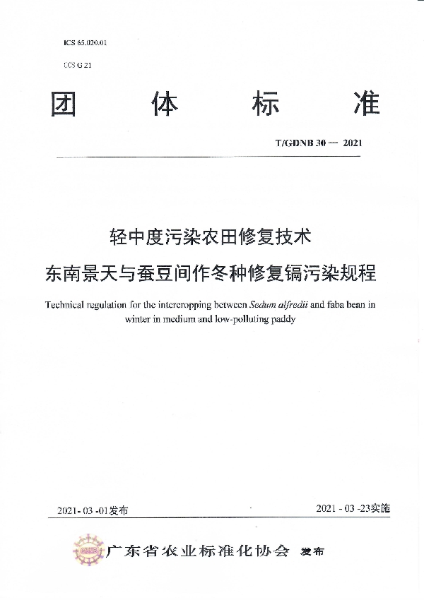 轻中度污染农田修复技术 东南景天与蚕豆间作冬种修复镉污染规程 (T/GDNB 30-2021)