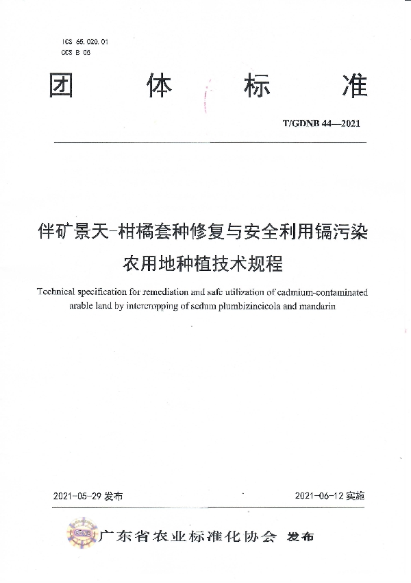 伴矿景天-柑橘套种修复与安全利用镉污染农用地种植技术规程 (T/GDNB 44-2021)