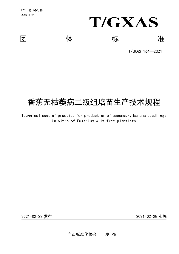 香蕉无枯萎病二级组培苗生产技术规程 (T/GXAS 164-2021)