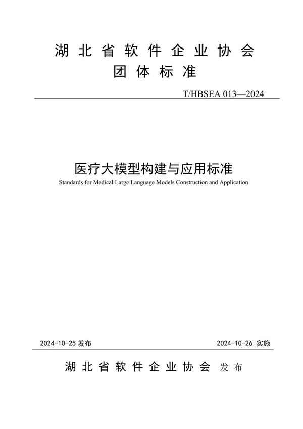 医疗大模型构建与应用标准 (T/HBSEA 013-2024)