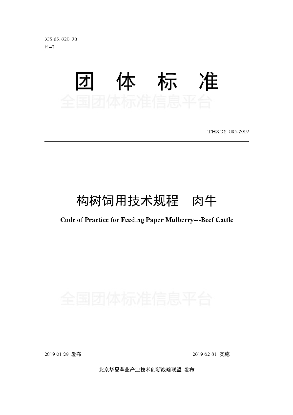 构树饲用技术规程  肉牛 (T/HXCY 005-2019)