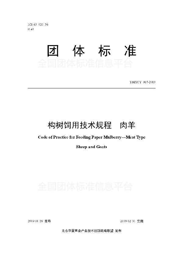 构树饲用技术规程  肉羊 (T/HXCY 007-2019)