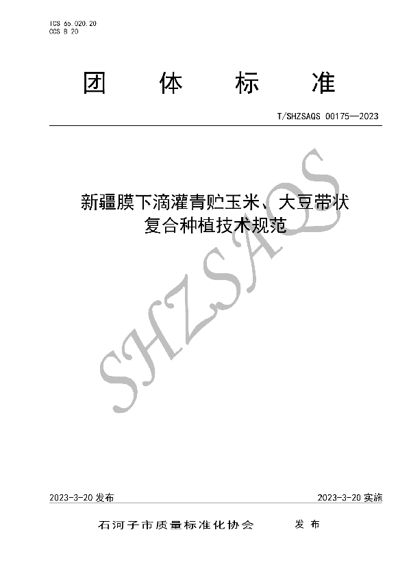 新疆膜下滴灌青贮玉米、大豆带状复合种植技术规范 (T/SHZSAQS 00175-2023)