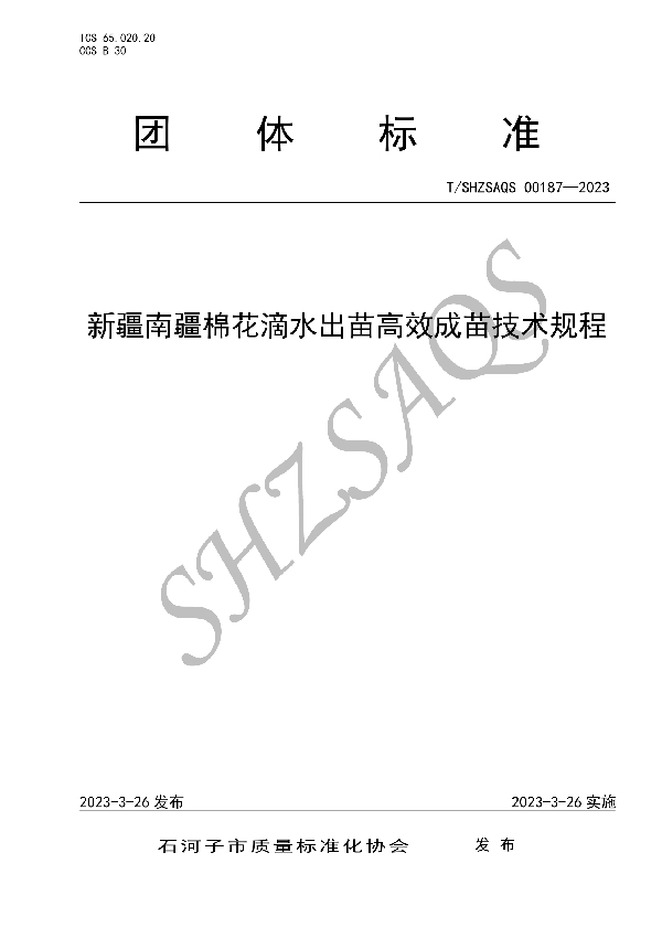 新疆南疆棉花滴水出苗高效成苗技术规程 (T/SHZSAQS 00187-2023)