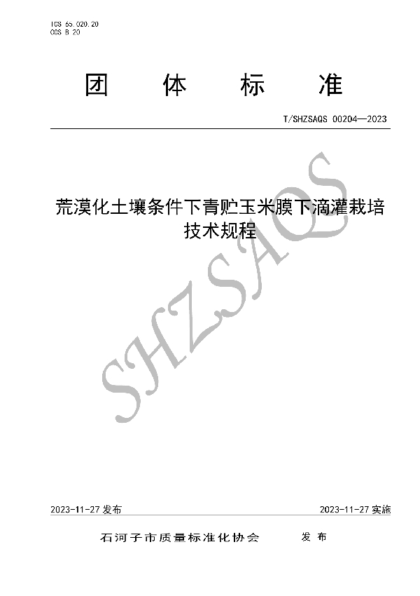 荒漠化土壤条件下青贮玉米膜下滴灌栽培技术规程 (T/SHZSAQS 00204-2023)