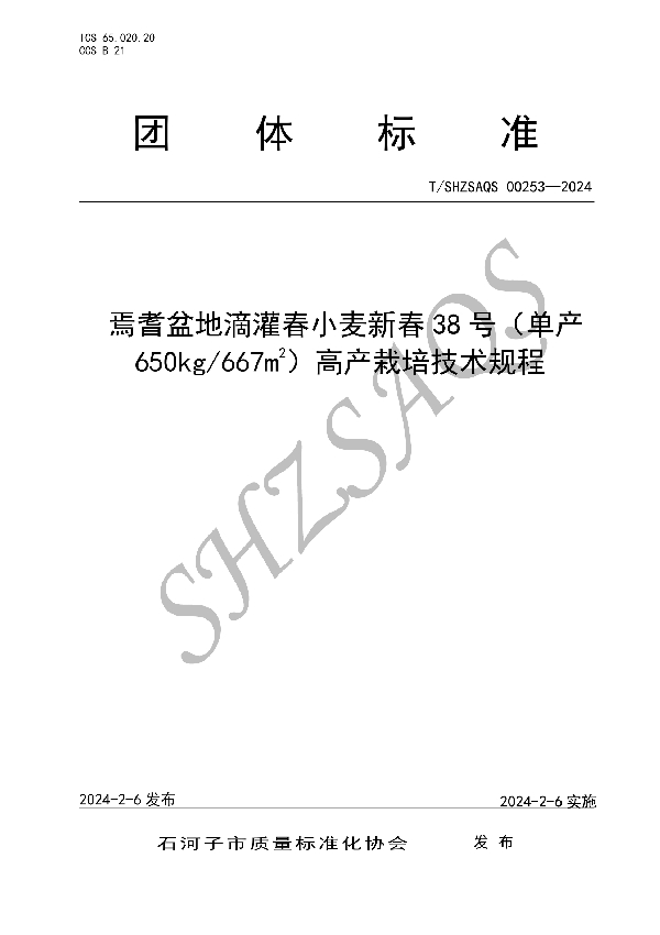 焉耆盆地滴灌春小麦新春38号（单产650kg/667㎡） 高产栽培技术规程 (T/SHZSAQS 00253-2024)